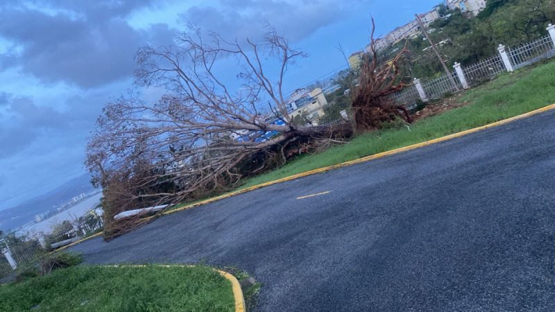 3396D142-918B-4EBF-8410-77816DE9193E