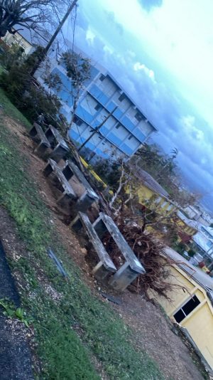 EC1EFD75-B018-4B79-8042-A136FB926391