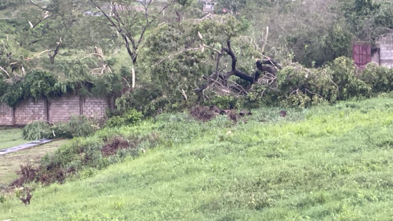 7743BDF7-CC51-4587-AE7B-0FEE915B80DA