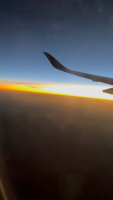 0D85A393-EB4F-47AA-8CE1-9AE5A19BA3D1
