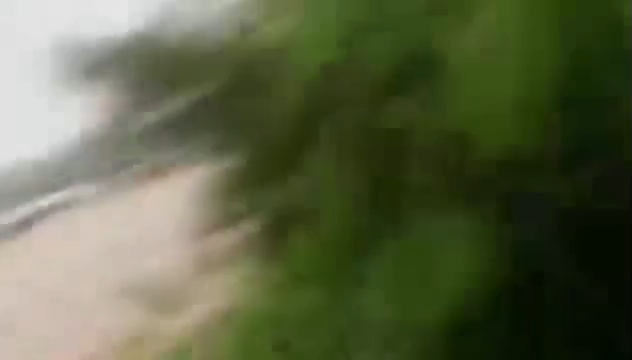 video_2026-07-01_00-52-42