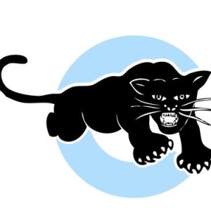Group logo of Black Panther Party Cubs